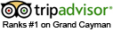 tripadvisor_logo_home